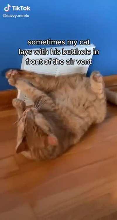 It’s always the orange ones.