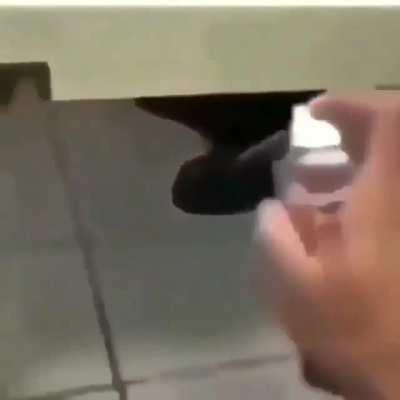 Why did the shoe open it's mouth?