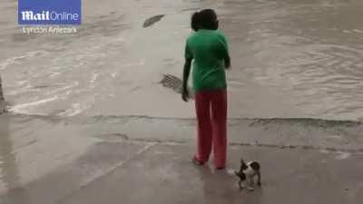 Crocodiles can smell a dog from miles away...just saying.