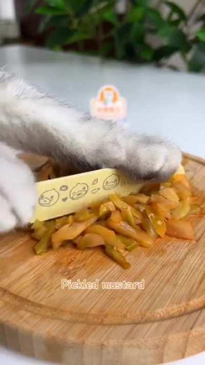 Cat's kitchen (chef)