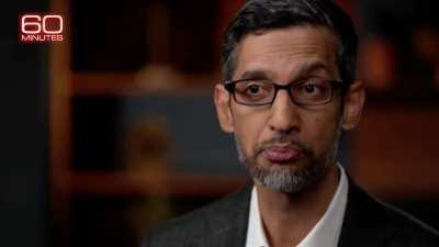 Google CEO Pichai says that they don’t fully understand their own AI system after it did things it wasn’t programmed to do.