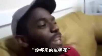 小黑孩摘棉花（旧视频一则）