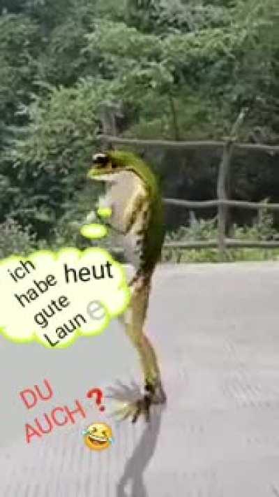 ich habe heut gute Laun e 😂😂😂😂😂🤣🤣🤣🤣
