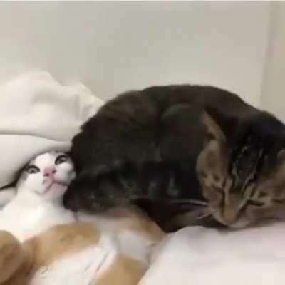 Personal space? Never heard of it