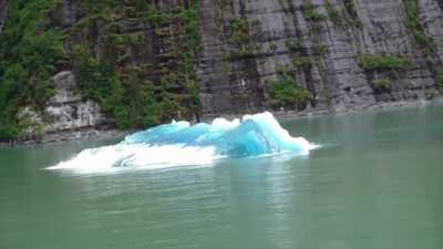This iceberg flipping over in the middle of a fjord