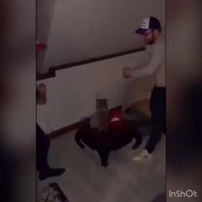 What to do when your friend drinks too much alcohol..