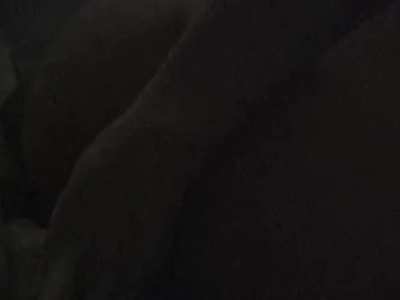 Bree Olson begs the director to fuck her in the ass