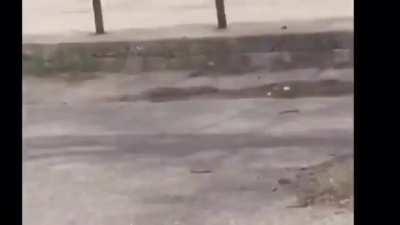 Police draw guns on stormtrooper with a fake blaster