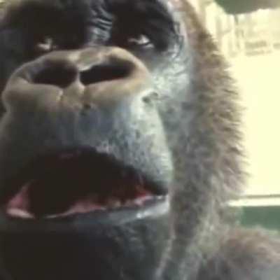 POV: you listen to Place for the first time