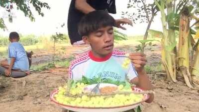 rip grapes after dumb bitch falls on my full plate of grapes oh my god my grapes