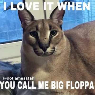 In celebration of FLOPPA FRIDAY here’s a video I made :)