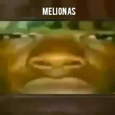 MELIONAS