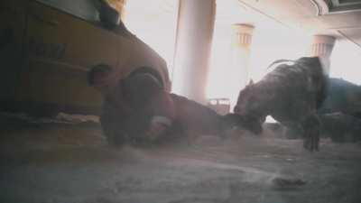 Army of the Dead (2021): Zombie Tiger