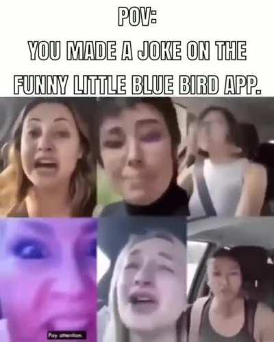 Funny blue bird app rule(s)