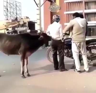 In India, they just call it the Holy Fuck