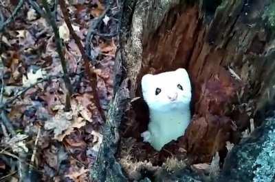 Oh god, what’s... oh