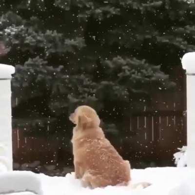 For the love of snow....