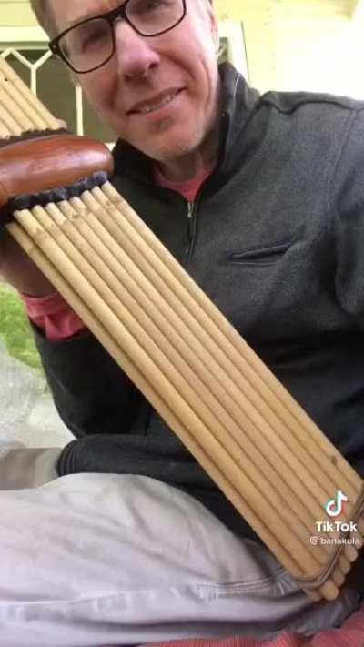 Dad Boner the Musical