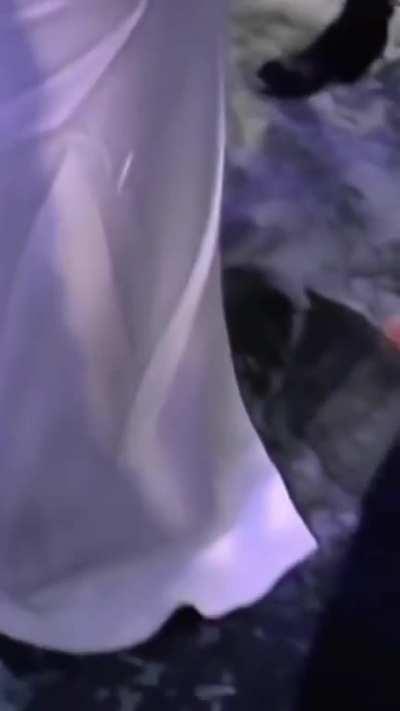 Up close with the white dress