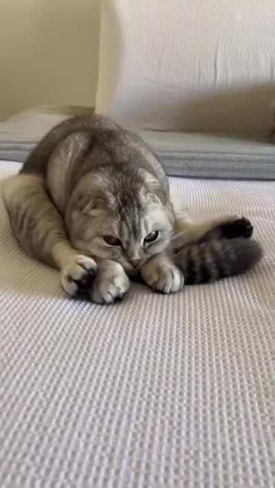 Seeing this hurts my back!! 😂😂😂