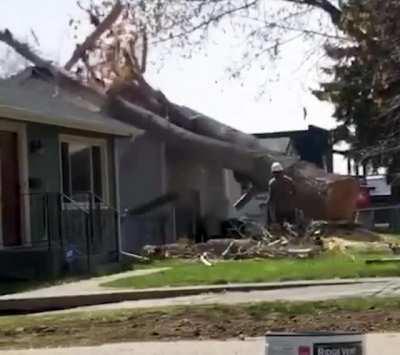 Hope they have good insurance