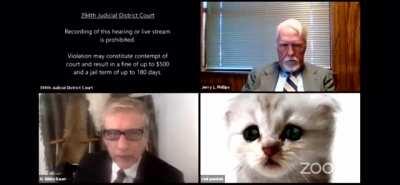 A lawyer using Zoom had to let a judge know that he wasn’t a cat after inadvertently activating a face filter