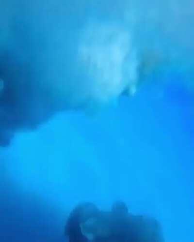 That was higher than I thought