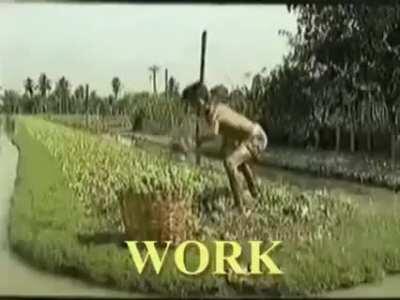 you guys will like this one