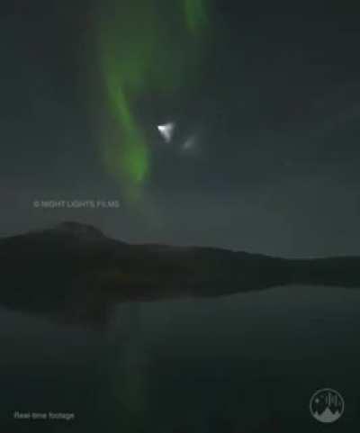 #AtlasV rocket launch & pass through the aurora borealis in Ringvassøya, Norway tonight before their mission #Landsat9 🚀🌌 Credit :Night Lights Films - Adrien Mauduit