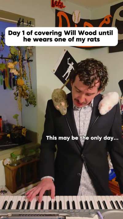 Day 1 of covering Will Wood songs until he wears one of my kinetic rat puppets