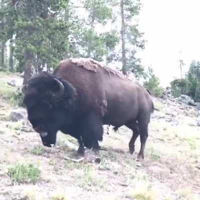 Just people enjoying nature, not a cell phone in sight.