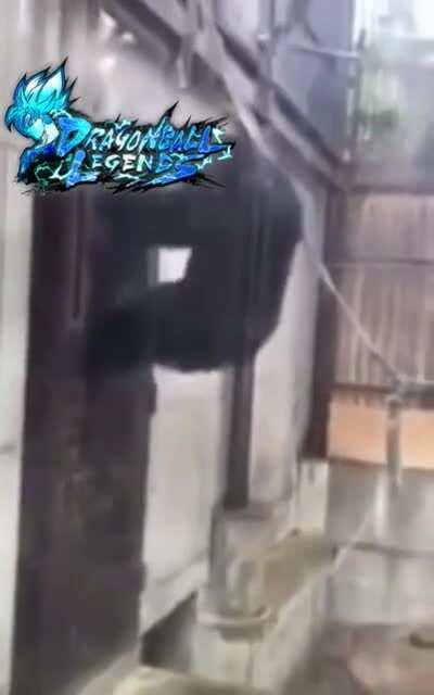 I just wanna summon for YEL Vegito...