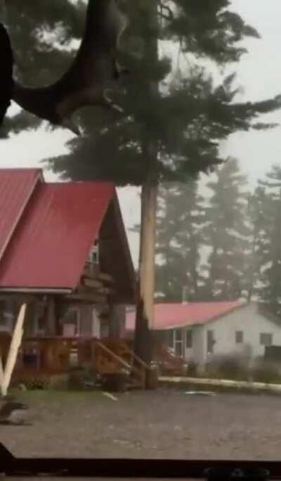 Молния ударила в дерево