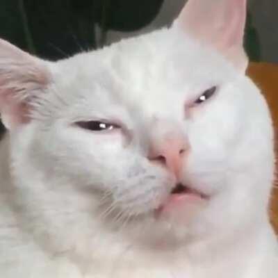 Found this song but I can’t remember where it’s from. Genre:Instrumental/Piano, Anime