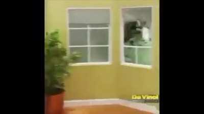 still the best meme compilation out there