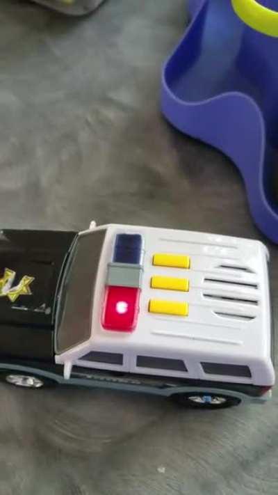 I finally found one in the wild! This is at the daycare I work at