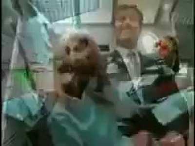 Nintendo hoje em dia: