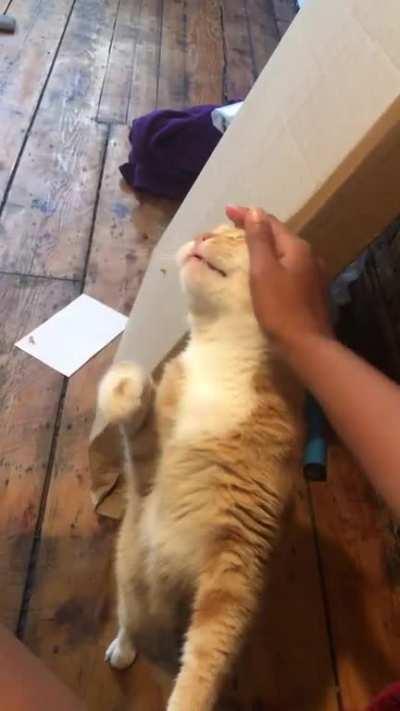 Reggie's back at it again