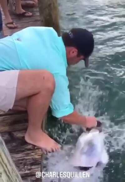 Nature is Metal my friends