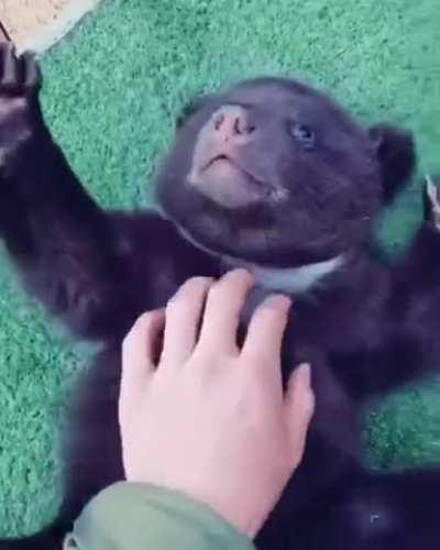 Yes, Yes, More And More...