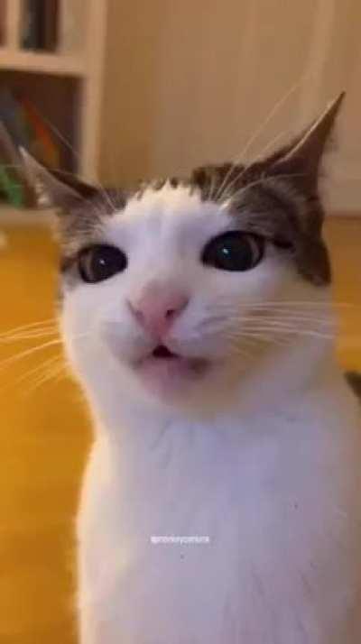 What’s this sound from?