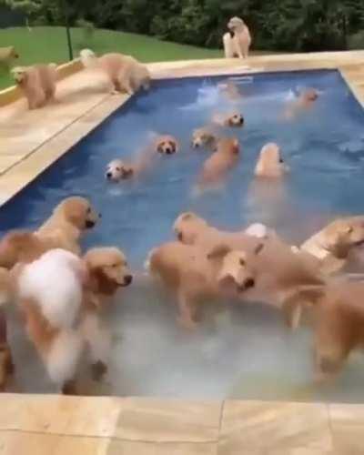 “No running in the pool area!”