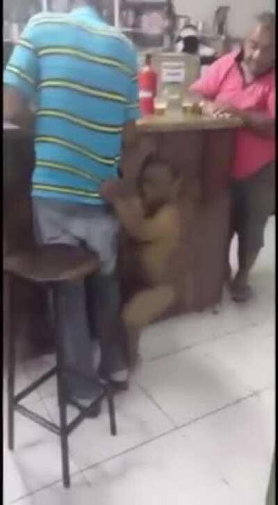 Just sitting at the bar minding his own business, when all of a sudden...