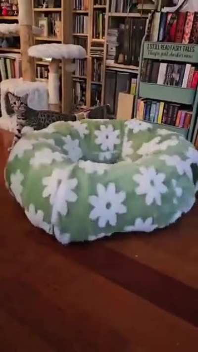 He will be an accelerated particle