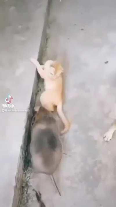 Uns perdem outros ganham.