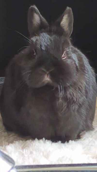 i am getting a little nervous 