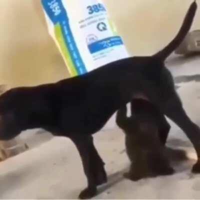 Makirt eure Freunde und sagt ihnen nichts haha😂😂😂💦💦