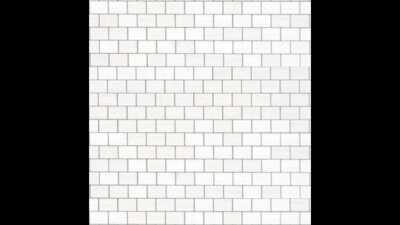 What shall we do now?