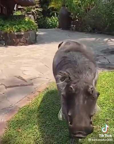 Kinda saw that coming