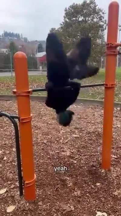 Girl performs a gymnastic trick at the park